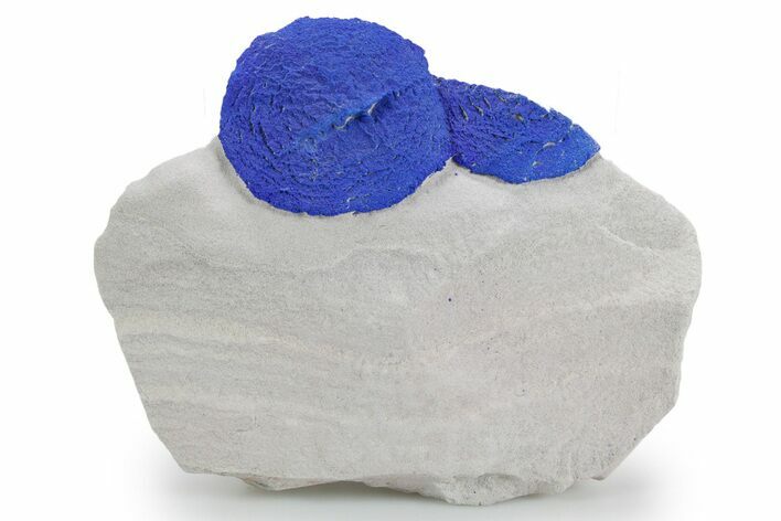Vibrant Blue Azurite Suns on Siltstone - Australia #361225